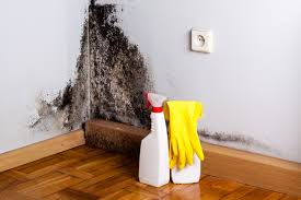 Best Biohazard Mold Removal  in Orange, CA